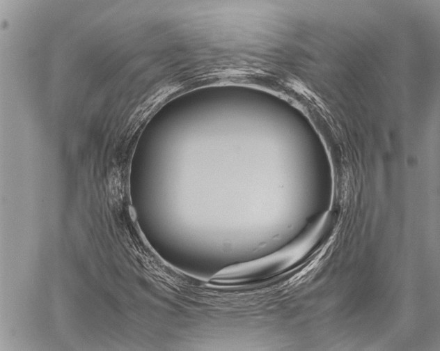 X0000059801353200510211041