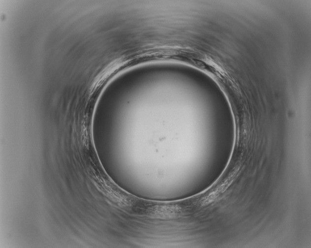 X0000059801354200510211041