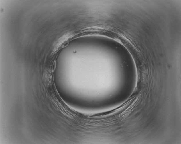 X0000059801355200510211041