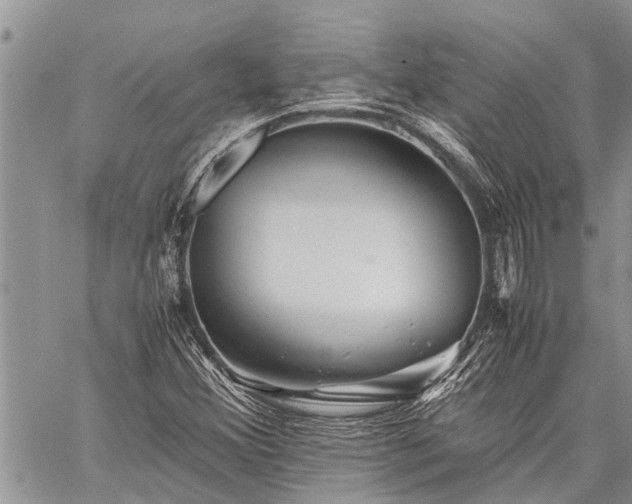 X0000059801356200510211041