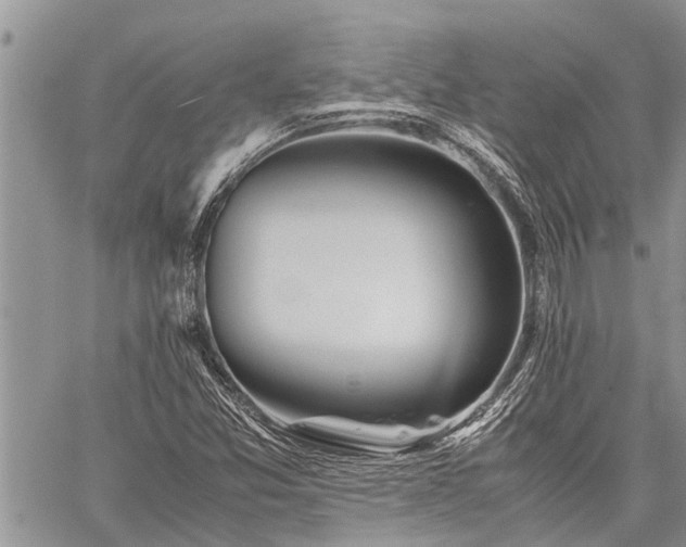 X0000059801357200510211041