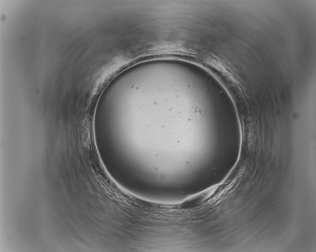 X0000059801358200510211041