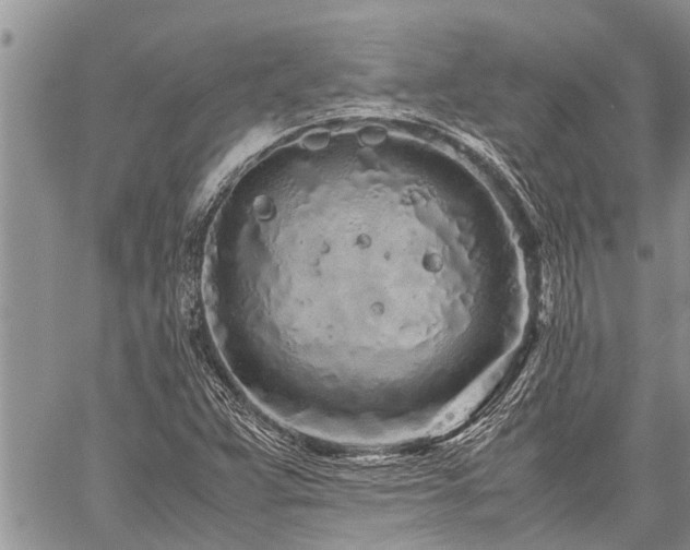 X0000059801359200510211041