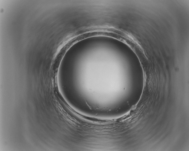 X0000059801360200510211041