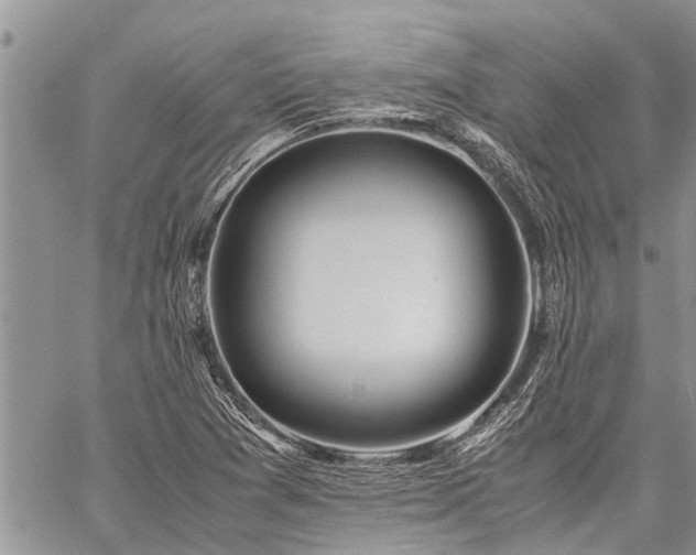 X0000059801361200510211041