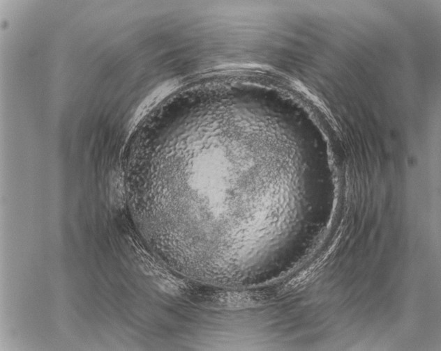 X0000059801362200510211041