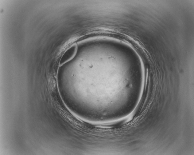 X0000059801363200510211041