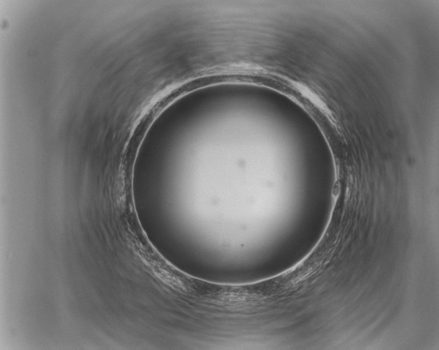 X0000059801364200510211041