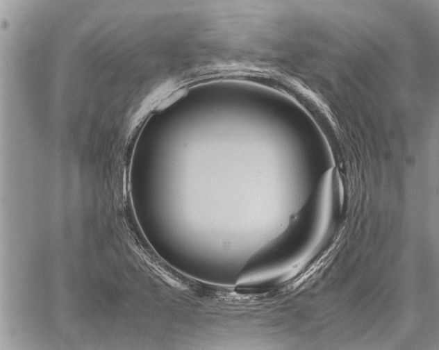 X0000059801365200510211041