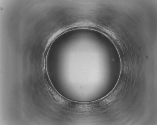 X0000059801366200510211041