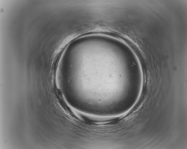 X0000059801367200510211041