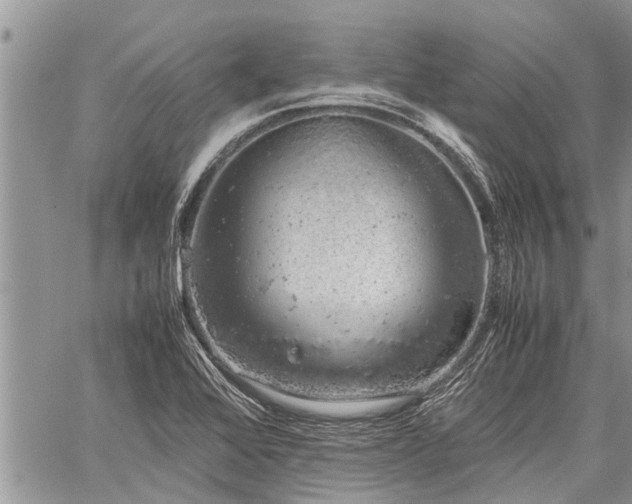 X0000059801368200510211041