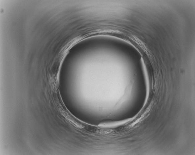 X0000059801369200510211041