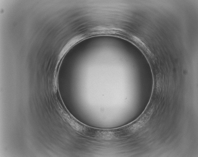 X0000059801370200510211041