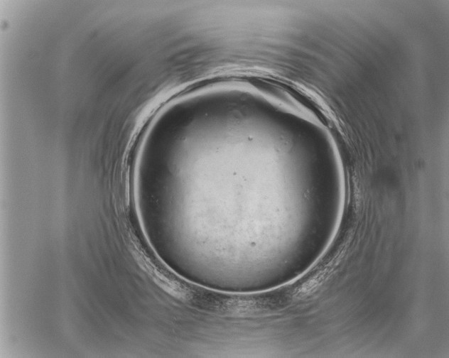 X0000059801371200510211041