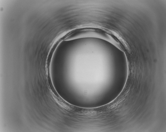 X0000059801372200510211041