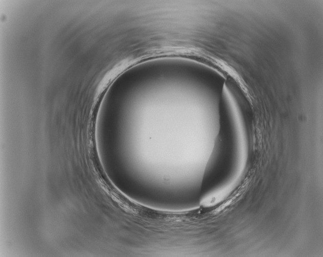 X0000059801373200510211041