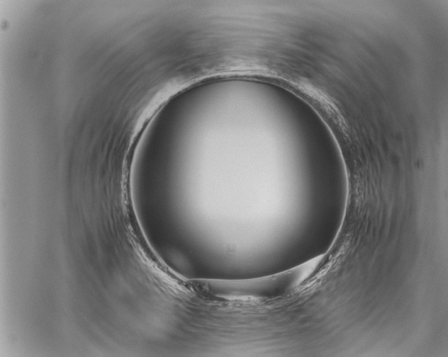 X0000059801374200510211041