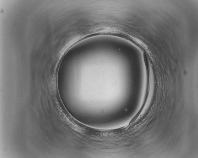 X0000059801375200510211041