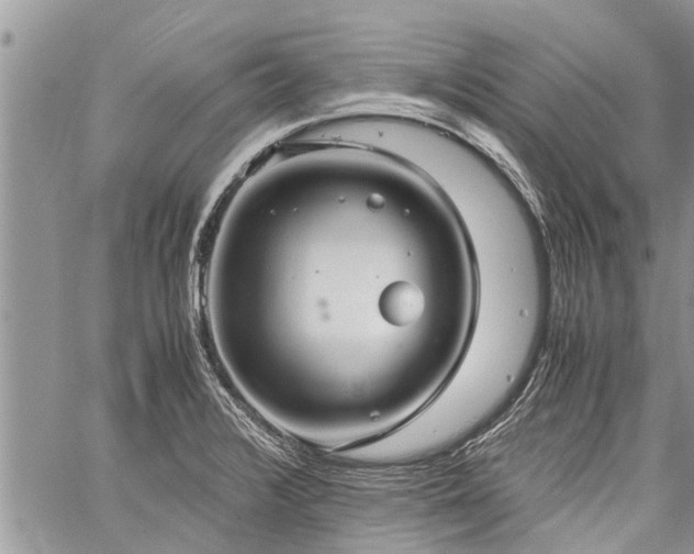 X0000059801376200510211041