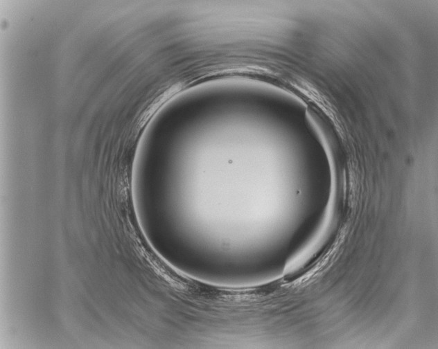 X0000059801377200510211041