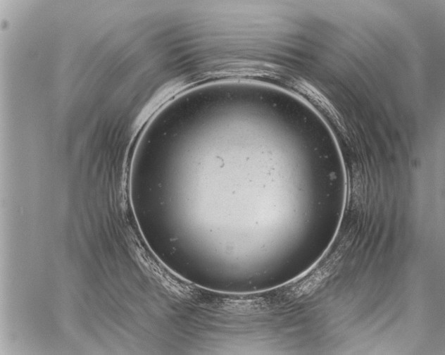 X0000059801378200510211041