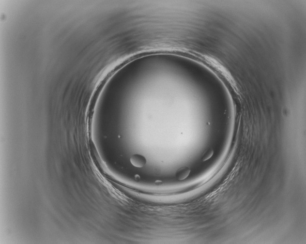 X0000059801380200510211041