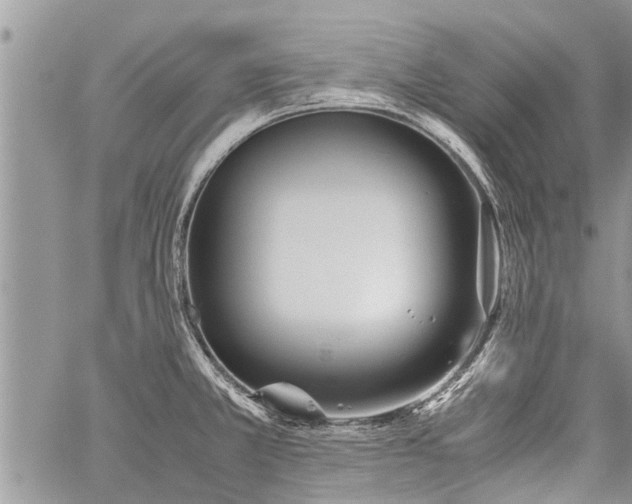 X0000059801381200510211041