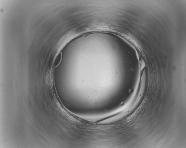 X0000059801382200510211041