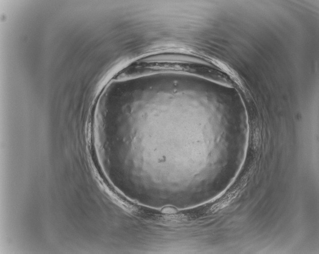 X0000059801383200510211041