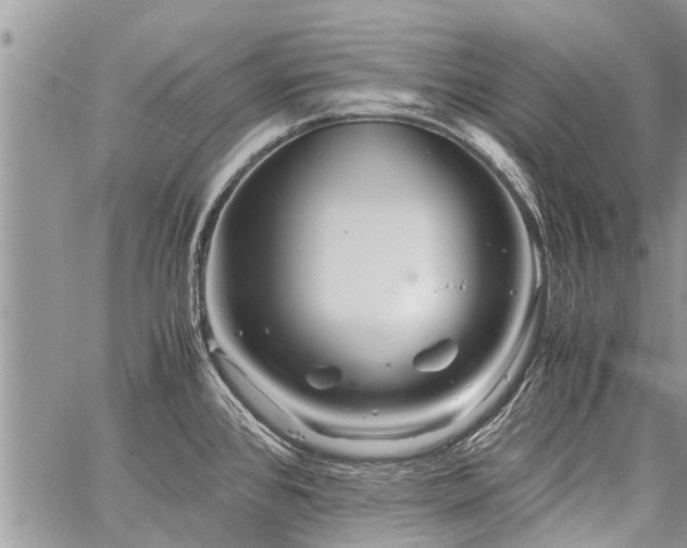 X0000059801384200510211041