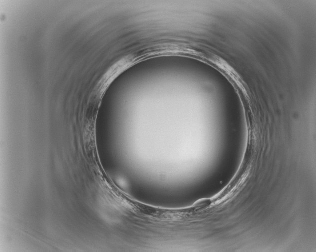 X0000059801385200510211041