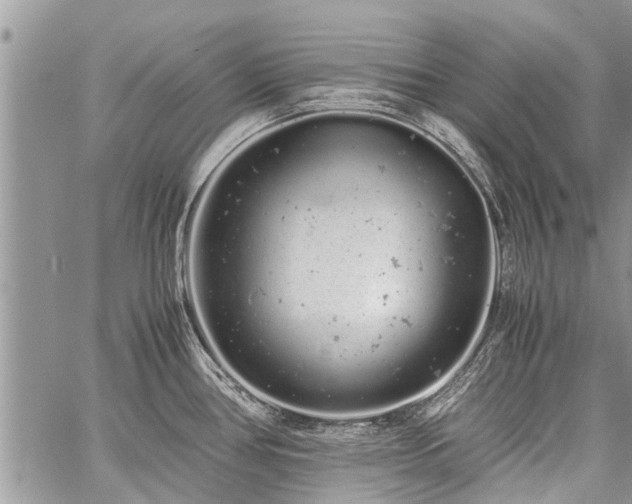 X0000059801386200510211041