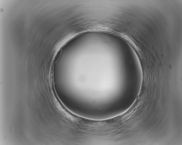 X0000059801387200510211041