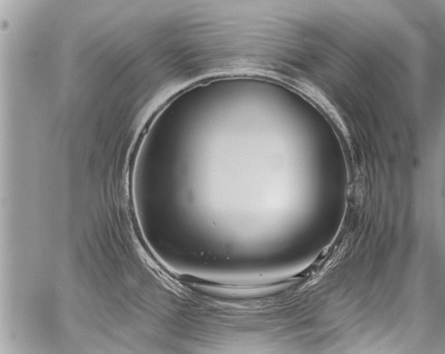 X0000059801388200510211041