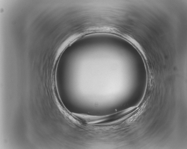 X0000059801389200510211041