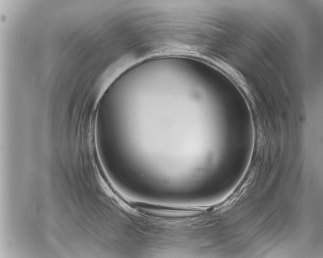 X0000059801390200510211041