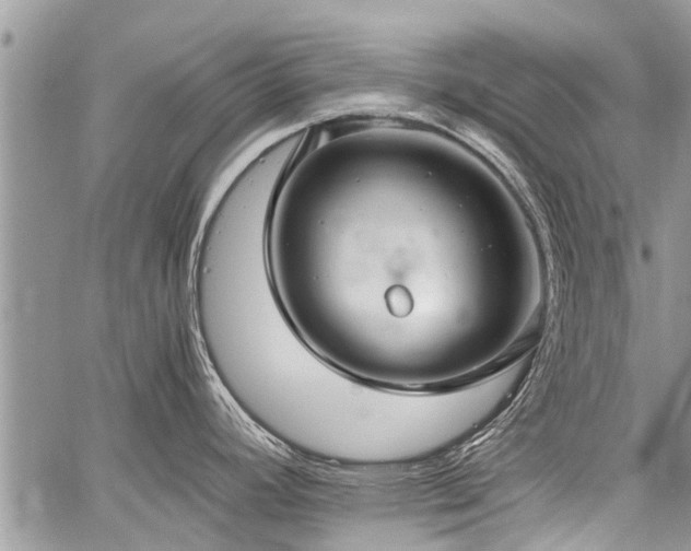 X0000059801392200510211041