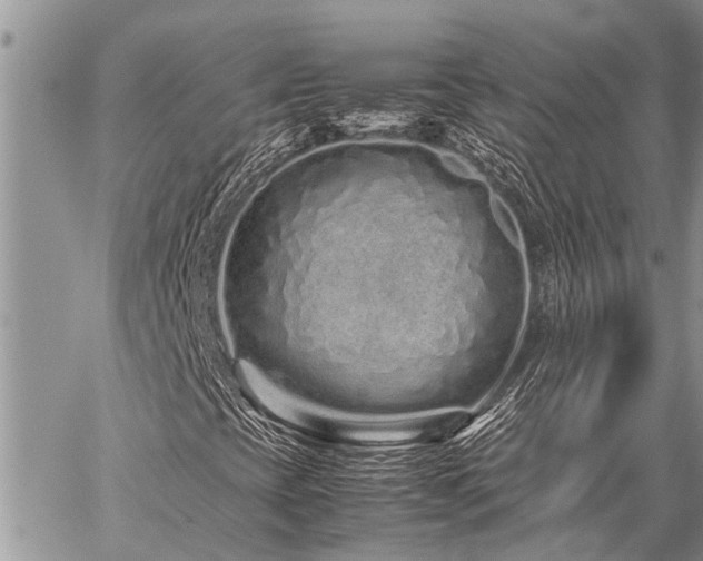 X0000059801393200510211040