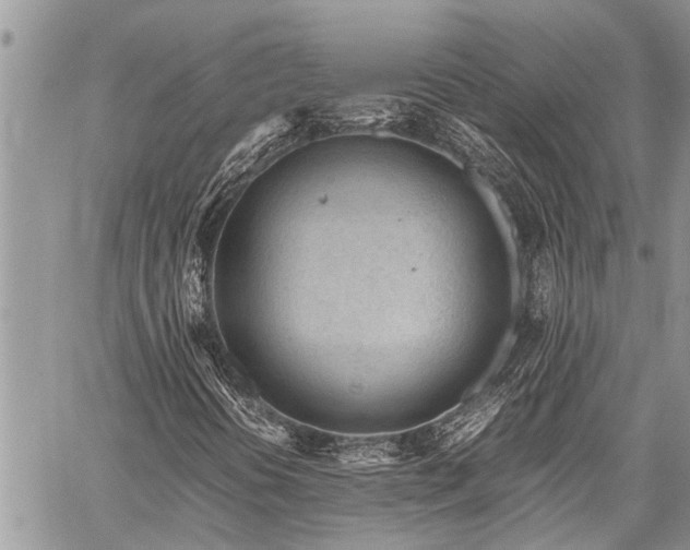 X0000059801394200510211040