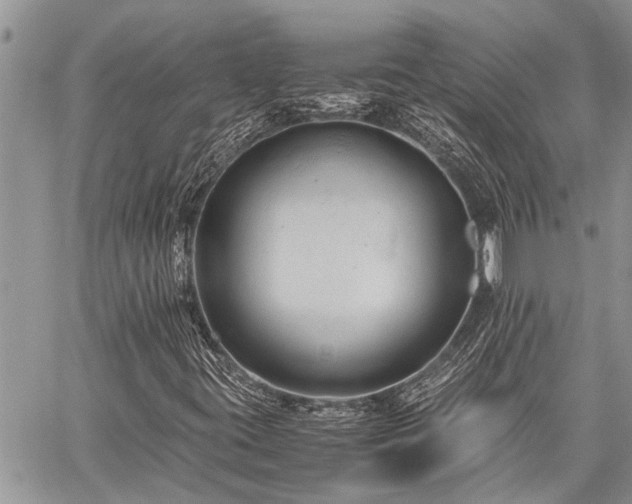 X0000059801395200510211040