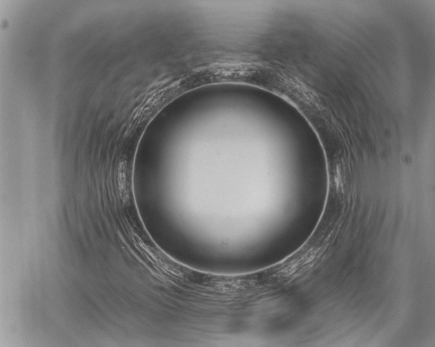 X0000059801396200510211040