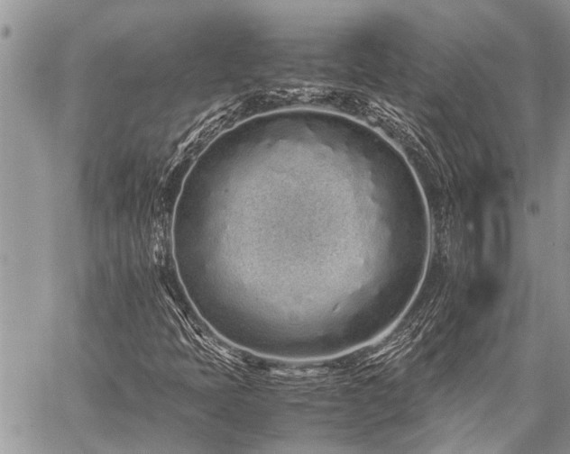 X0000059801397200510211040