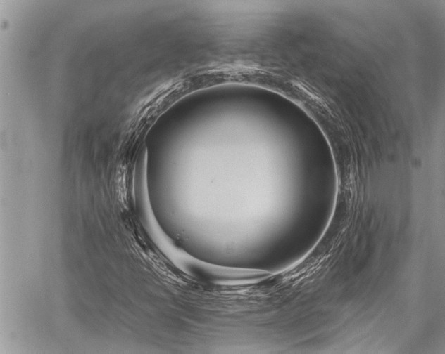 X0000059801398200510211040