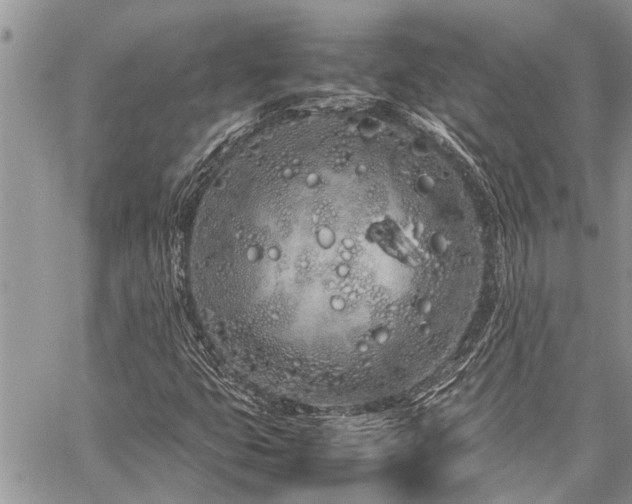 X0000059801399200510211040