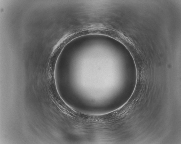 X0000059801400200510211040