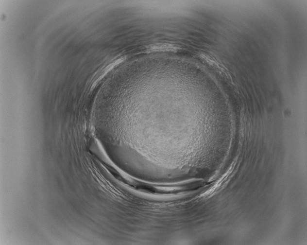 X0000059801401200510211040