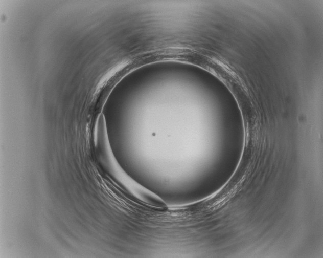 X0000059801402200510211040