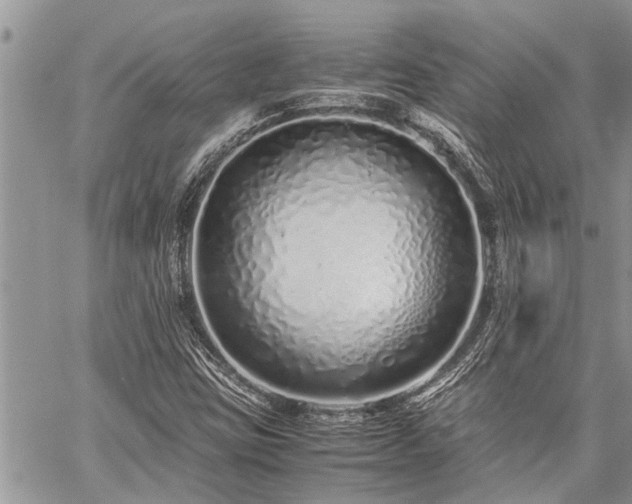 X0000059801403200510211040