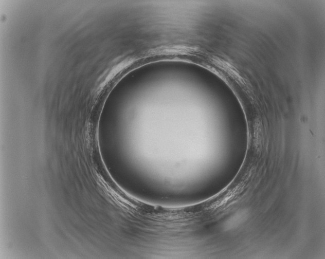 X0000059801404200510211040